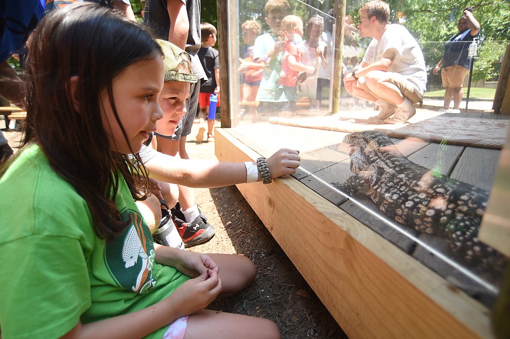 Chattanooga Zoo summer camp | Chattanooga Times Free Press