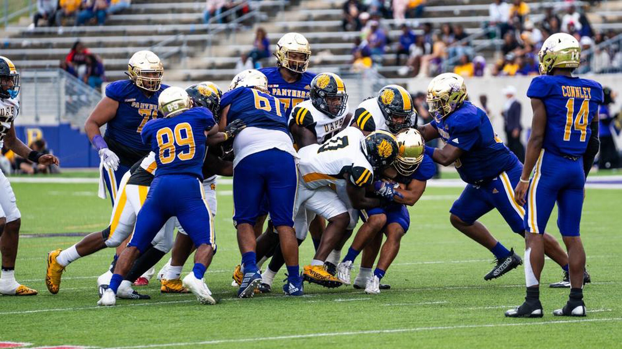 Lions to face Panthers in SWAC showdown