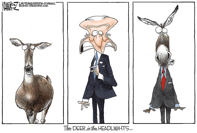 Deer in Headlights | Chattanooga Times Free Press