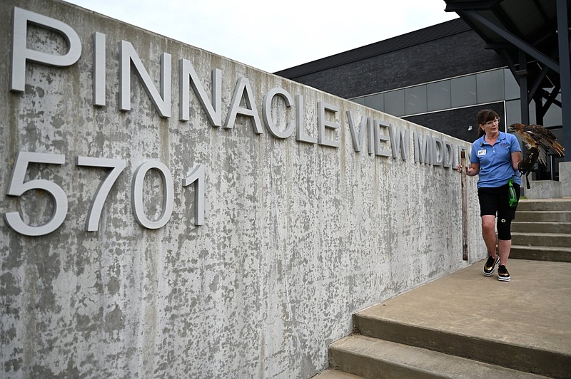 Barbara Dunn, a docent at the Little Rock Zoo, holds Sadie, a Red Tailed Hawk, outside Pinnacle View Middle School in Little Rock in this Aug. 22, 2022, file photo. The middle school's mascot is the Sky Hawk. A new high school being built next door, and the Little Rock School District has set a deadline of Aug. 16, 2024, for community members to suggest a name and mascot for the new school. (Arkansas Democrat-Gazette/Stephen Swofford)