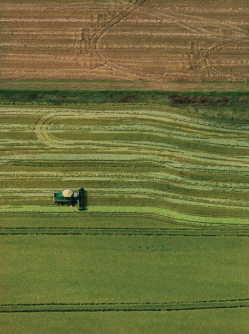 Arkansas Democrat-Gazette/BENJAMIN KRAIN --09/24/15--.A farmer harvests a rice field near Stuttgart.