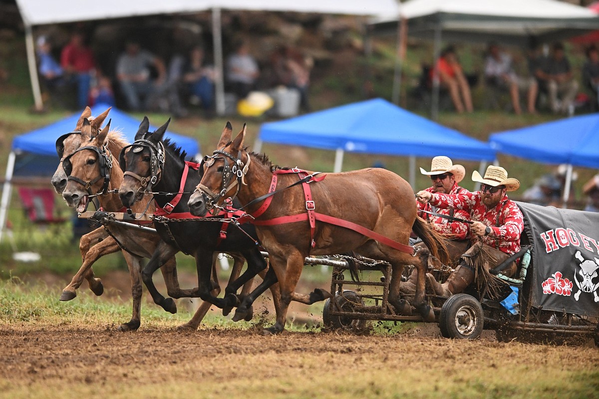 Chuck Ward Racing National Championship Chuckwagon Race draws thousands of loyal fans to ...