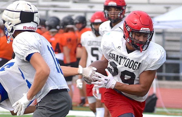 ZCook_for_WEB_t600.jpg?