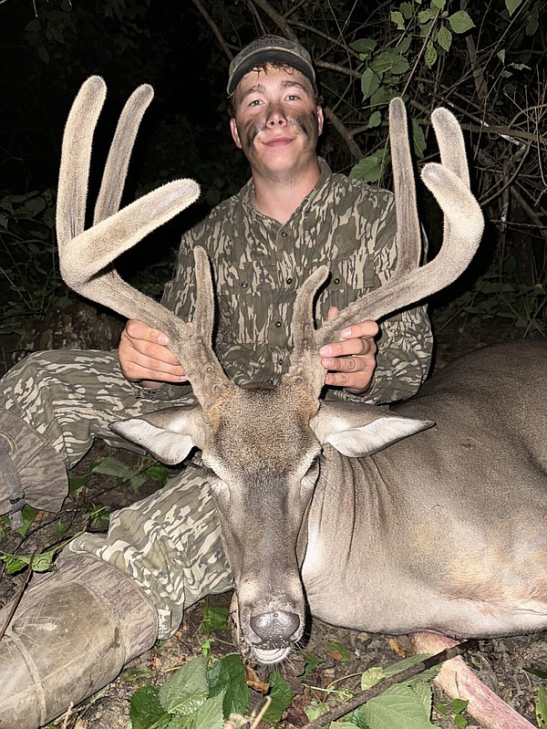 Rare velvet The Arkansas DemocratGazette Arkansas' Best News Source