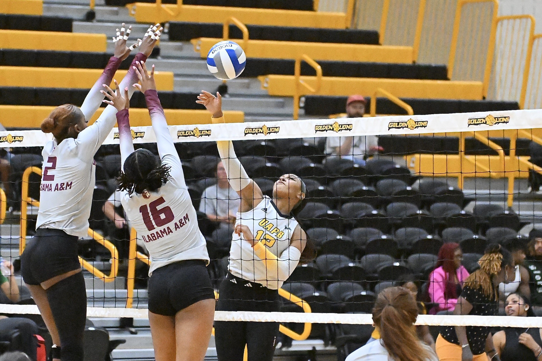 Alabama A&M sweeps UAPB