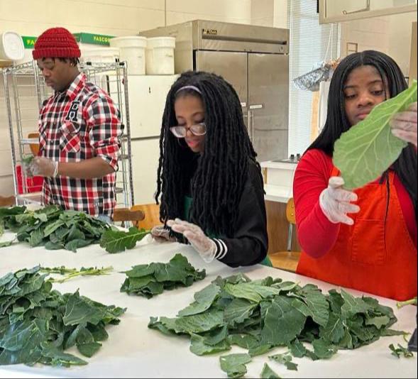Pine Bluff pupils harvest and cook in garden project