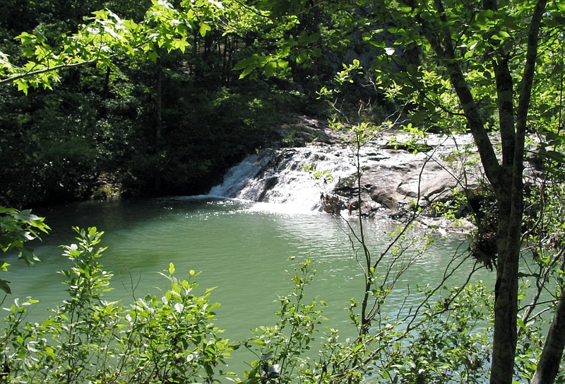 Arkansas marks 40 years of Flatside Wilderness Area as lawmakers