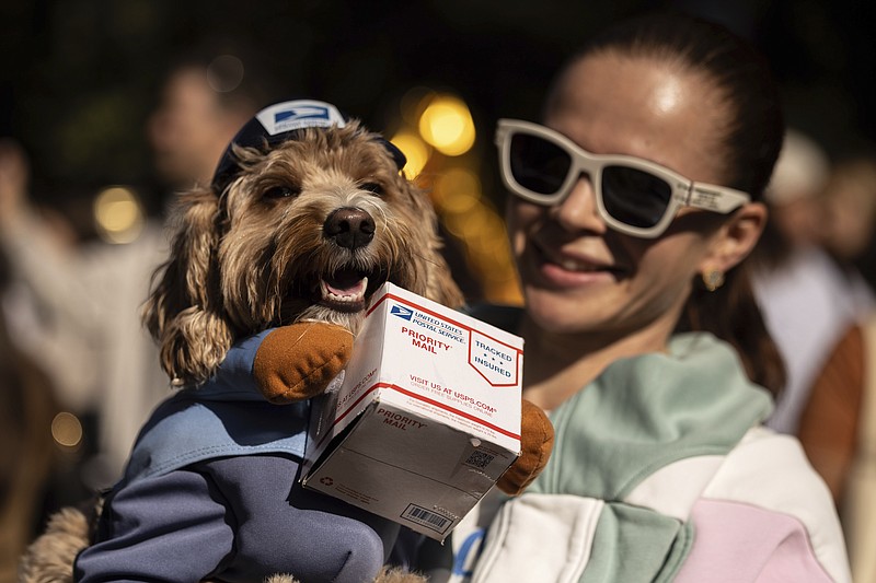 Pups on parade Dogs dressed to the nines for annual New York City