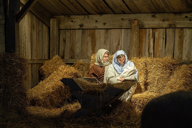 Nativity in Searcy features camels, more than 200 volunteers