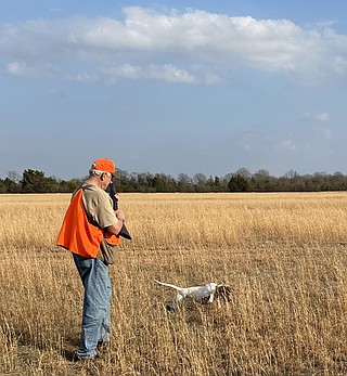 Cotton patch pheasant an oddity | Northwest Arkansas Democrat-Gazette