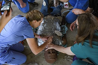 Little Rock Zoo hosts mass casualty training for UAMS resident doctors ...