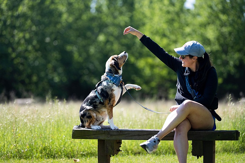 Veronica Ussery giver her dog Huck, a two-year old, Australian Shepard and Beagle mix a treat Sunday, May 4, 2025, at Two Rivers Park in Little Rock. Ussery said the she had rescued Huck about six months ago...(Arkansas Democrat-Gazette/Adam Vogler)..Verno