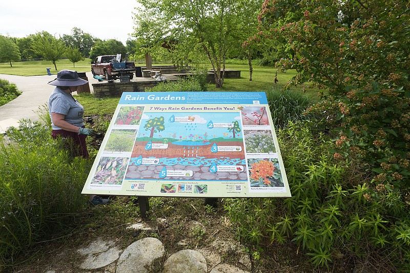 Northwest Arkansas Master Naturalists work Saturday May 10 2025 in the rain garden at the Lake Springdale trailhead. The Master Naturalists volunteer for an array of projects including conservation, litter pickup and invasive species removal. .(NWA Democrat-Gazette/Flip Putthoff)