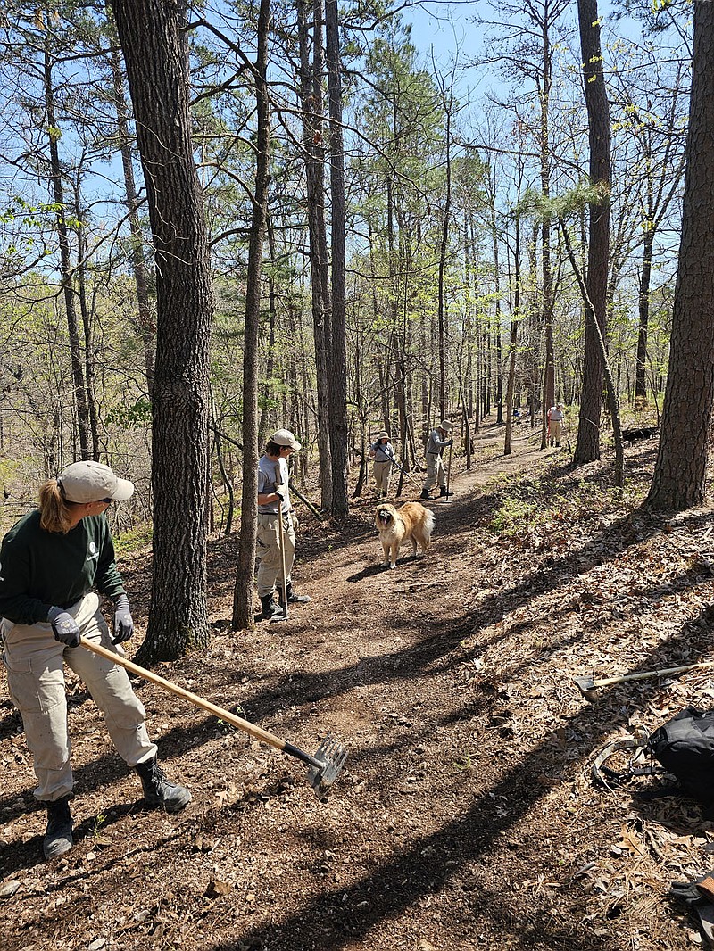 Northwest Arkansas Master Naturalists work with a crew of Americorps volunteers on Hidden DIversity Trail - Bashore Loop at Hobbs State Park to clean up tornado damage. Naturalist Kevin Otterman brought along his dog, Chewy, to oversee the work. .(Submitted Photo/Kevin Otterman)