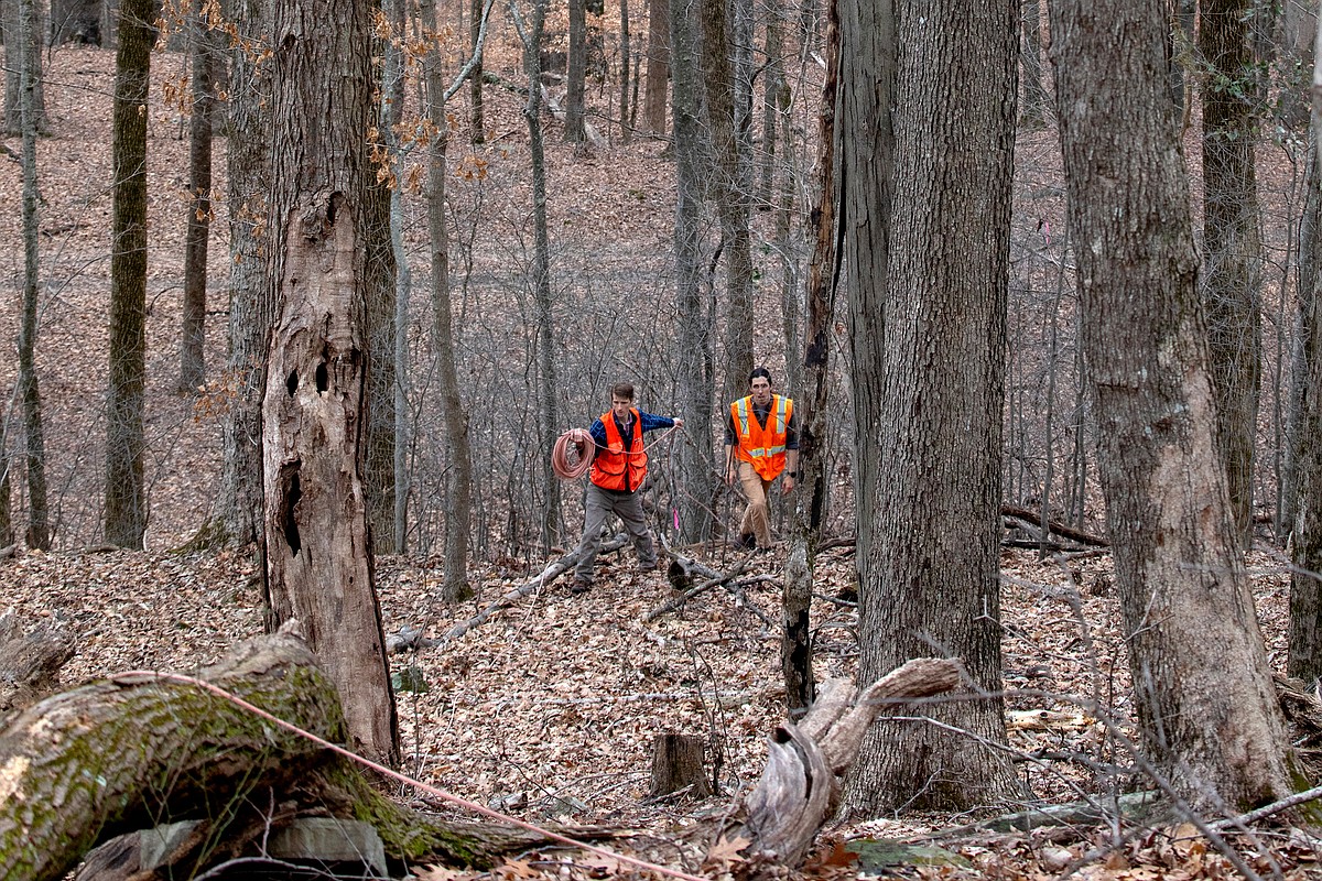 Sam R. Murphy Wma Alabama research center works to understand ‘one of the last great wild ...