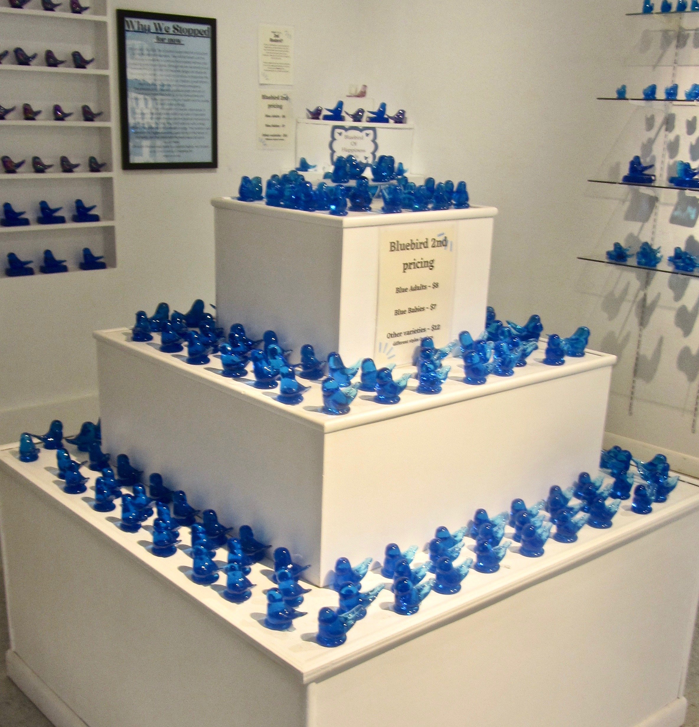 ARKANSAS SIGHTSEEING: Terra Studios' Blue Birds of Happiness reach
