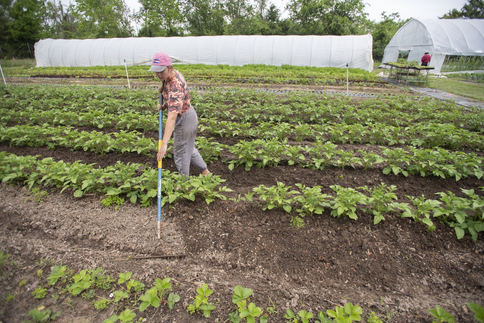 ‘Rural Profile Road Show’ events planned in Arkansas