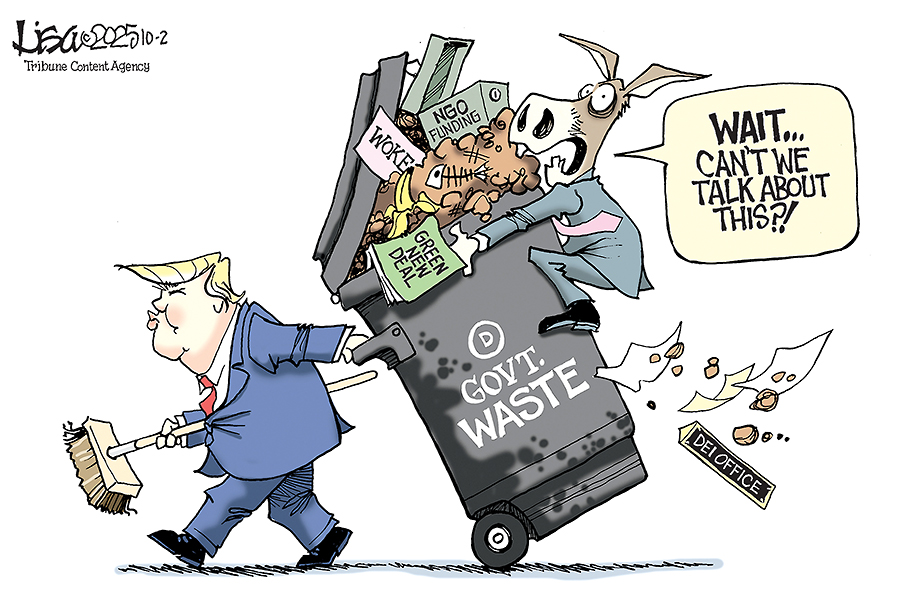 Government Waste