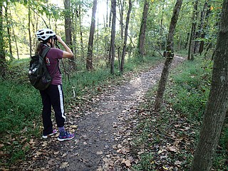 Volunteer Trail Reroute at Hawksbill Crag