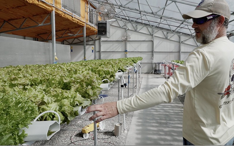 Farmer Bob Offerle gives a tour of his hydroponic farm, Ozark All Seasons, in Winslow in this October 2025 file photo. (Arkansas Democrat-Gazette/Faye Hedera)