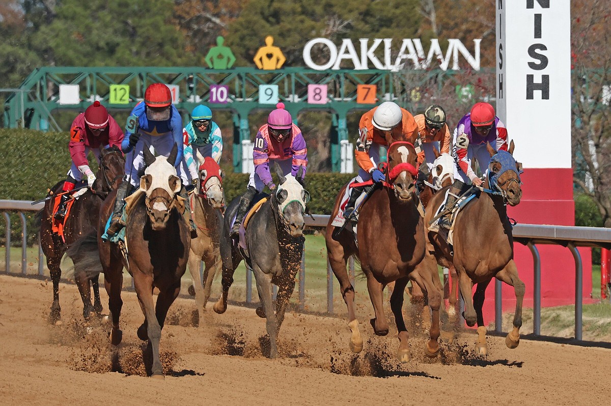 Advent the first course of opening stakes buffet