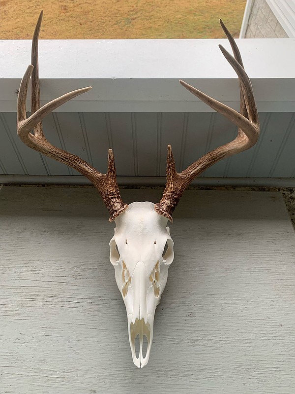 4CBuck0108_t600.jpg?