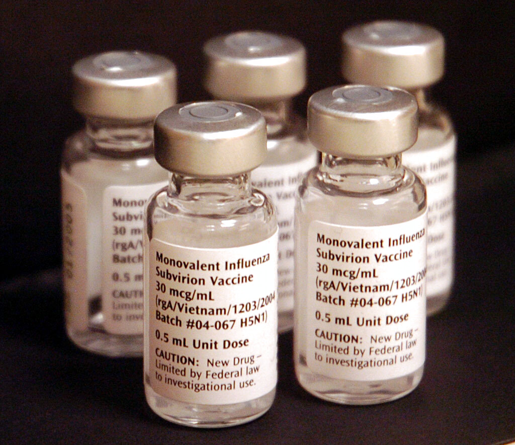 Arkansans urged to avoid wild birds after agencies detect avian influenza