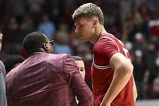 Report: Arkansas basketball center Elmir Dzafic entering transfer ...