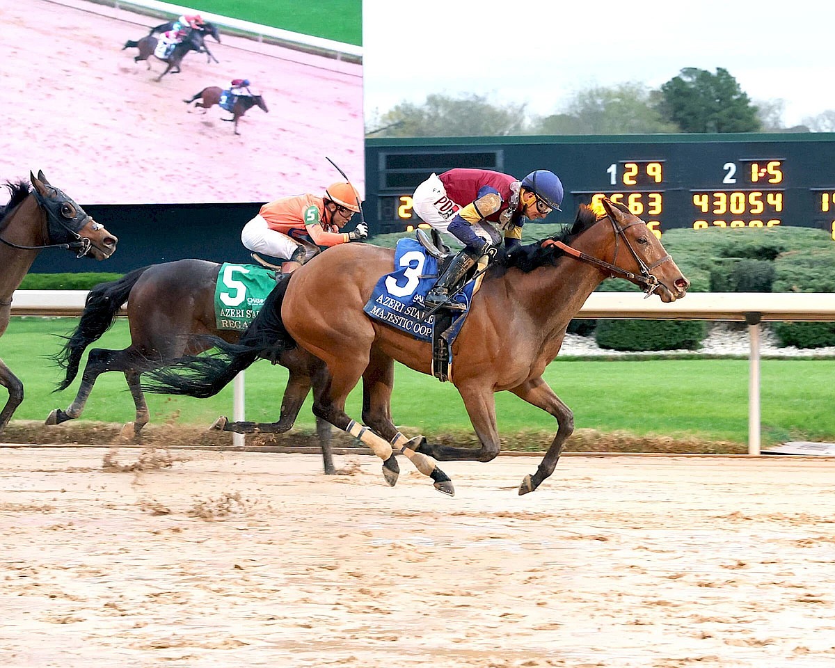 Majestic Oops splashes way to victory in Oaklawn’s Azeri