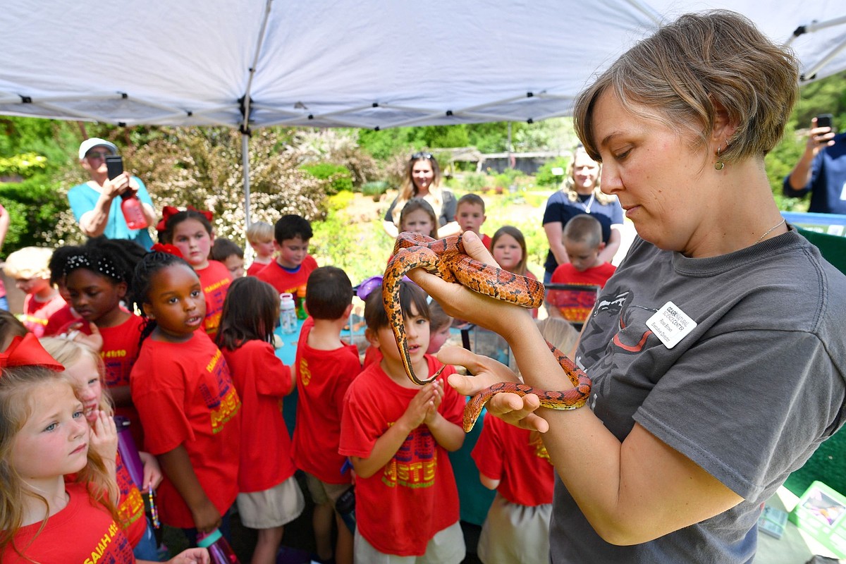 Arkansas school choice students to get $7,208 in 2026-27, up $344 from this year