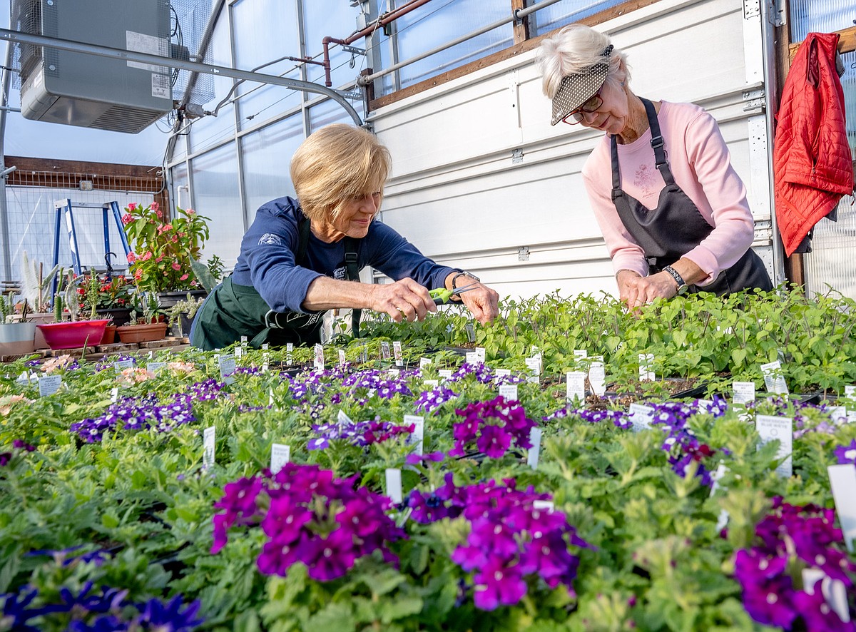 Master Gardeners plan two-day annual sale