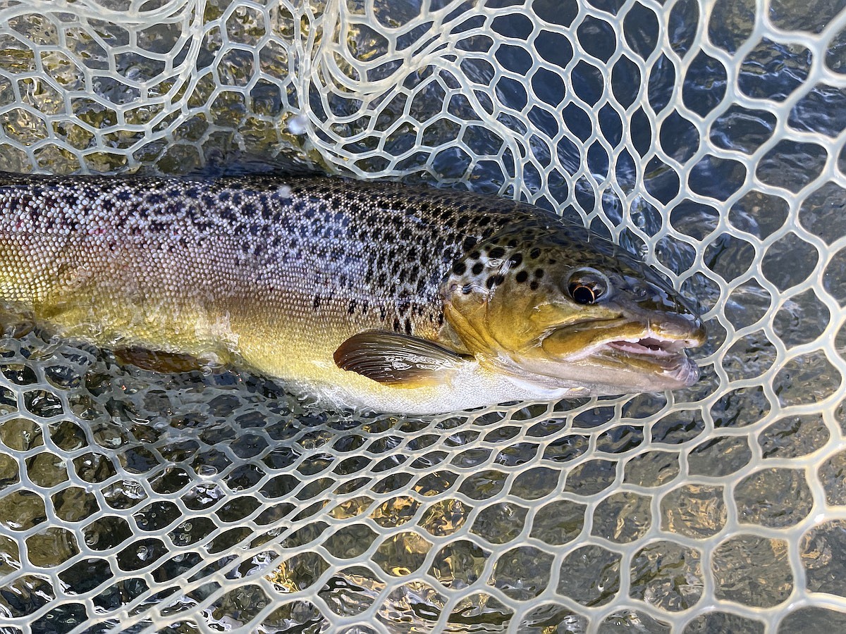 New rod and new hooks make for great day on the river