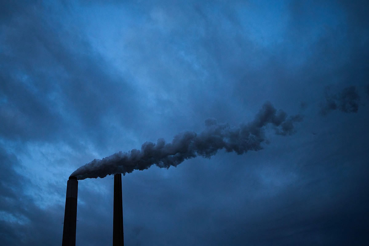 Is our government trying to kill us?