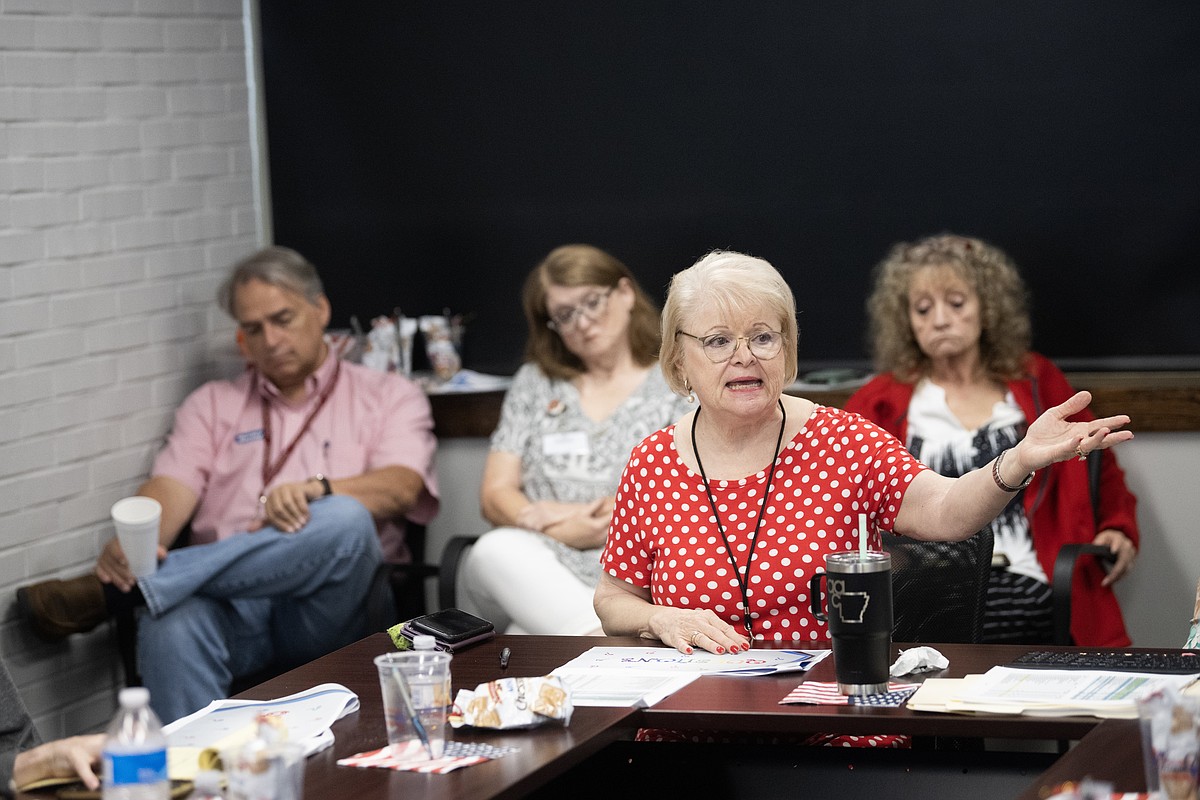 Pulaski treasurer discusses scope, lack of involvment in audit prep