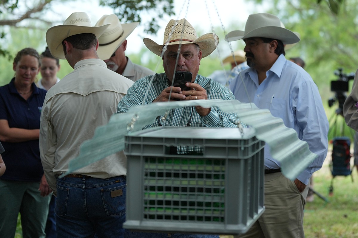 Arkansas adds animal inspection requirement to prevent screwworm spread
