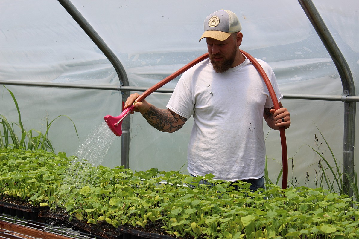 Arkansas conservation group helps new farmers buy farmland