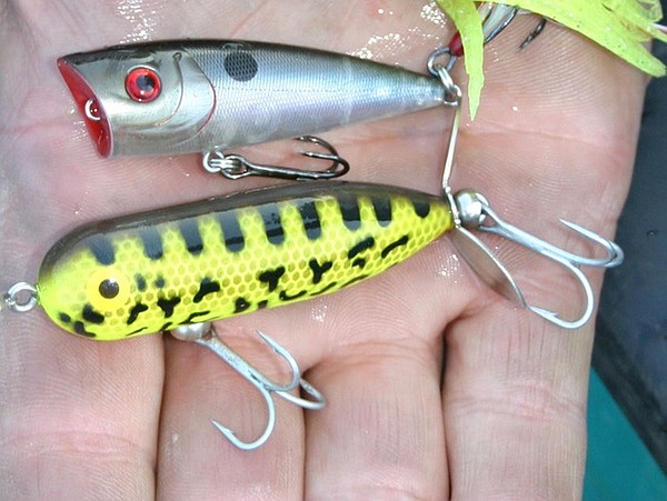 FISHING: Try topwater lures for bass fishing fun | Northwest Arkansas Democrat-Gazette