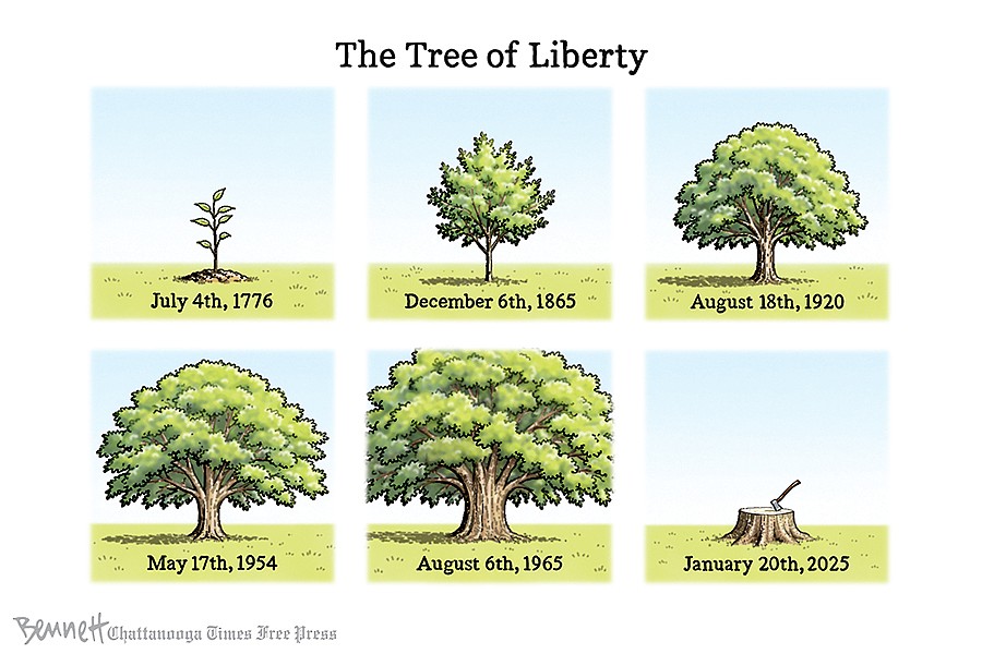 Tree of Liberty | Chattanooga Times Free Press
