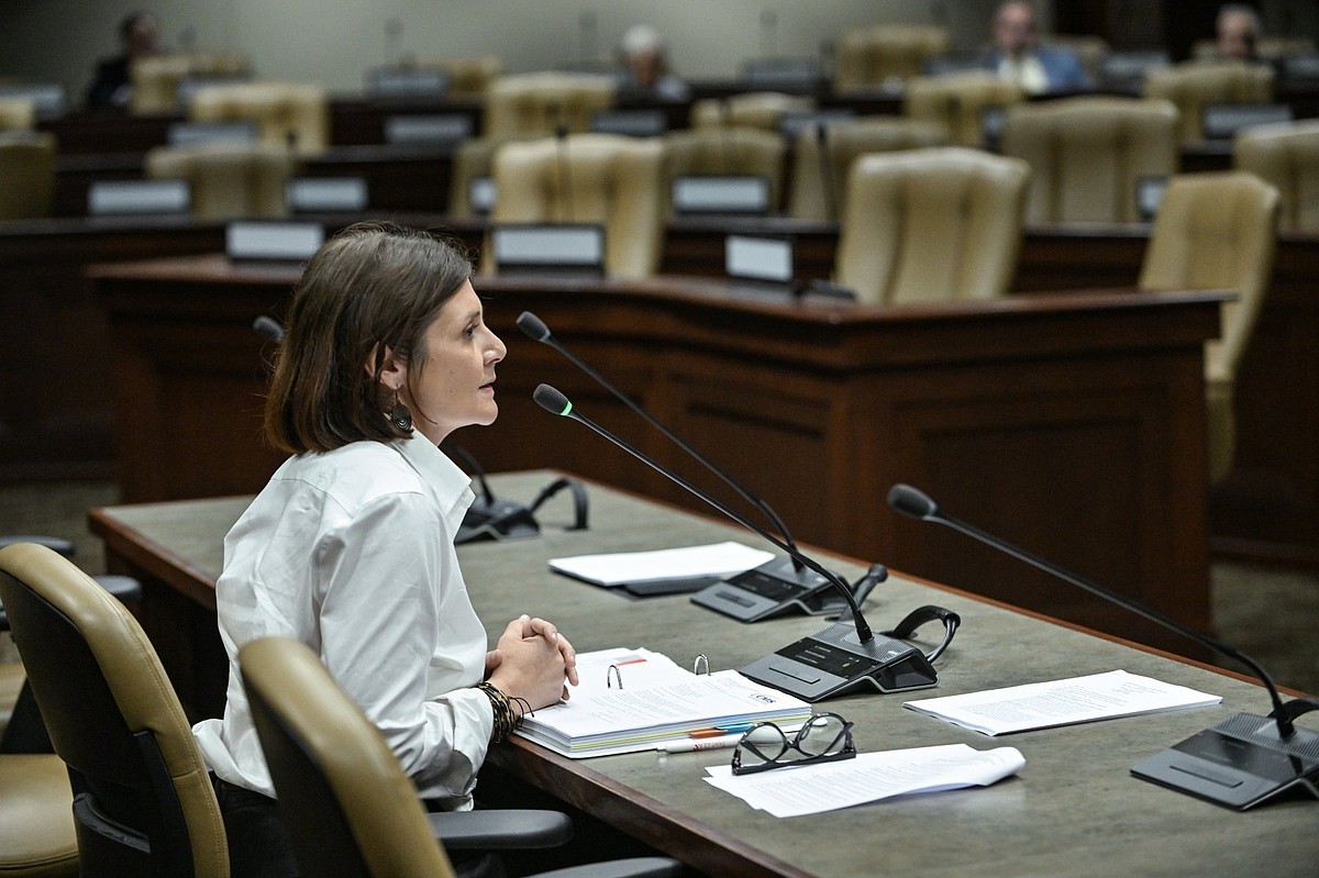 Panel endorses rules allowing Medicaid reimbursement for Arkansas doulas, lactation consultants