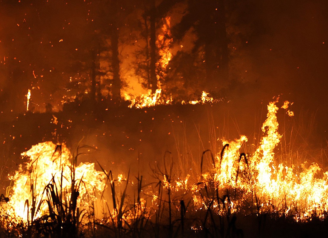 Union County wildfire 95% contained; others reported in Ashley, Bradley, Nevada counties