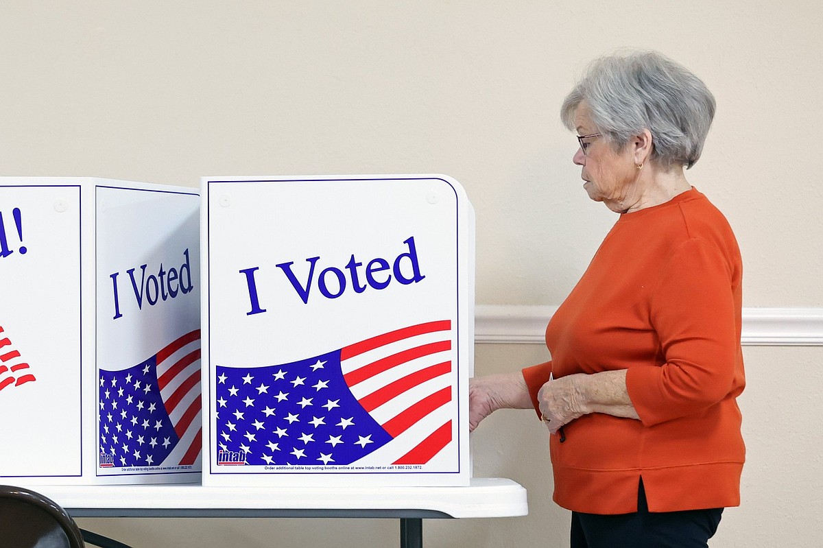 Jacksonville voters will decide whether to shift to ward-only City Council elections