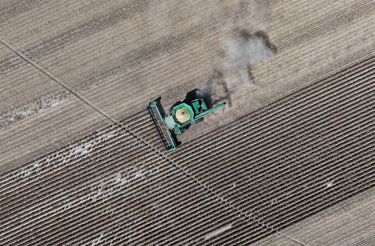 Summer heat sped up Arkansas’ rice harvest, threatens yield