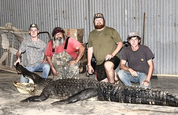 Hunters battle, bag giant alligator | Northwest Arkansas Democrat-Gazette