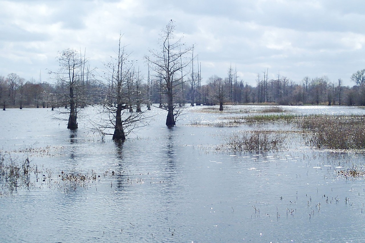 Texarkana pipeline would carry Arkansas water to reservoir near Dallas ...