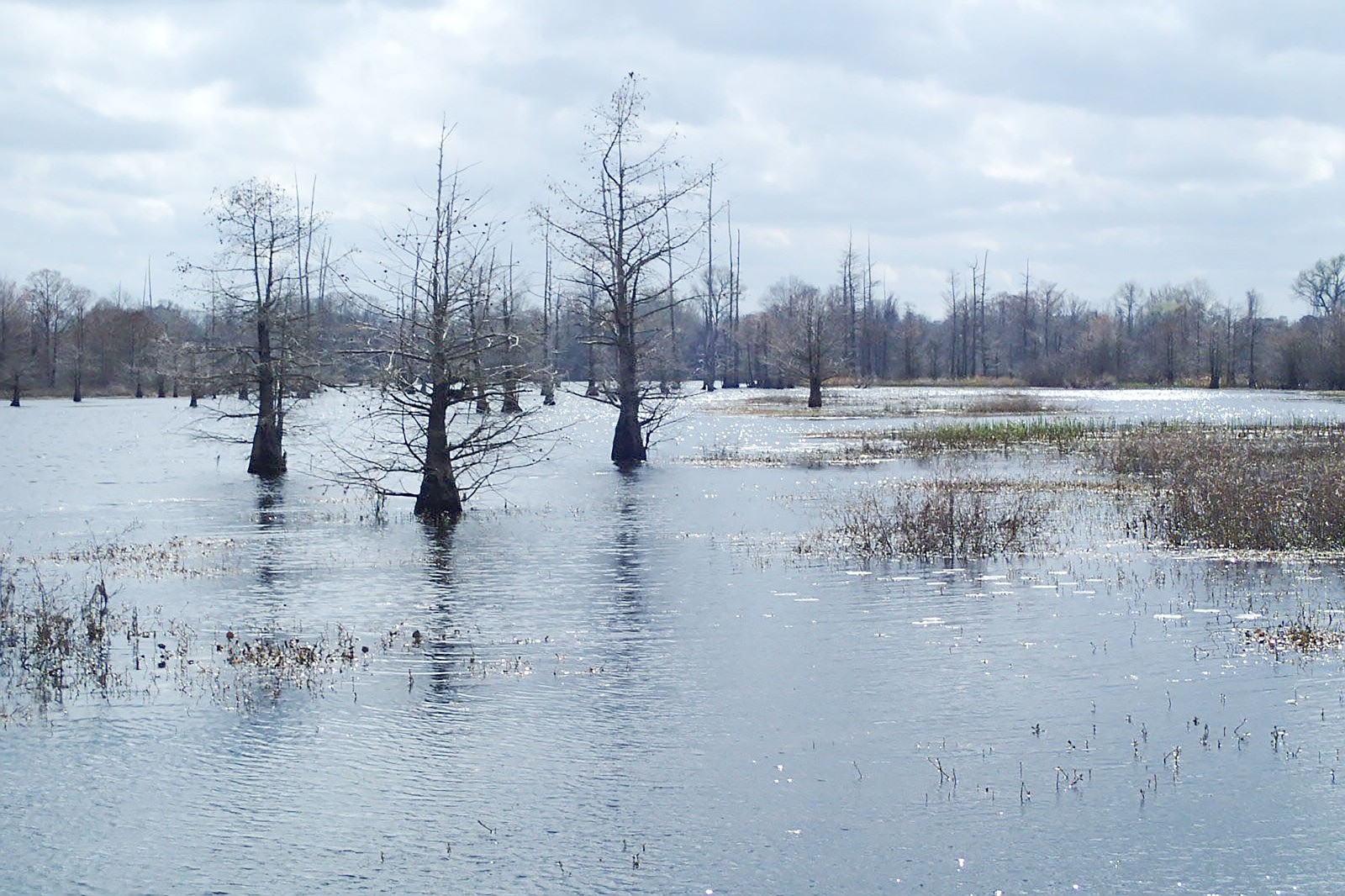Texarkana pipeline would carry Arkansas water to reservoir near Dallas ...