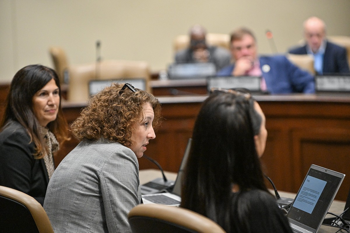 More mid-tier mental health services needed in Arkansas to limit youth hospitalizations, lawmakers told