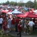 Tailgating with hog fans