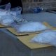 Shannon Hills makes big bust of people believed to be dealing Ice, a form of methamphetamine 