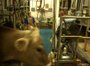 The dairy farm at Southern Arkansas University is the last of its kind in the state.