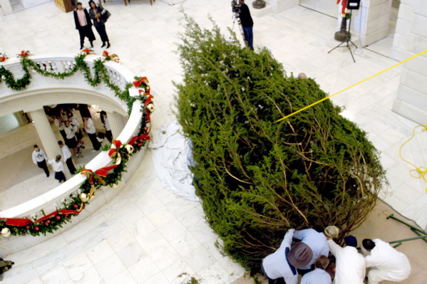 On Tuesday morning, a 20-foot Leyland Cypress from Tom’s Christmas Tree Farm in St. Francis County arrived at the steps of the State Capitol. The tree has since been trimmed with hand-painted globe ornaments each depicting a unique scene from the state’s 75 counties.